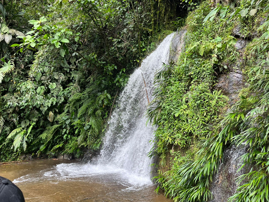Caminata Río Melcocho